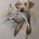 Jack Cogan - @jack.cogan.77 - Instagram