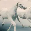 jack.coley - @jack.coley36 - TikTok