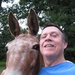 Jack Colley - @jack.colley.37 - Instagram