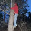 Jack - @jack.collum - TikTok