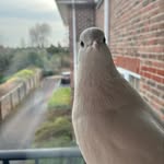 Jack Colson - @jack_colson - Instagram