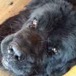 Jack Colston - @jc_jackc43_ - Instagram