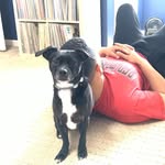 Coltrane - @coltranethejackchi - Instagram