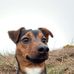 Jack Lewis Colwill - Facebook