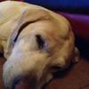 Jackie Colwill - @jackie.colwill - TikTok