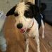 Jack Comber - Facebook