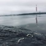 Jack Comber - @comber_jack - Instagram