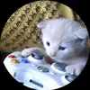 Jackson - @jackson.concannon - TikTok