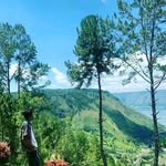 Annawi##01 - @jack_conditioner - Instagram