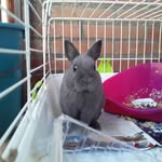 @jack_7_feliz_conejo - Instagram