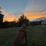 Jake Conforti - @jake_con56 - Instagram