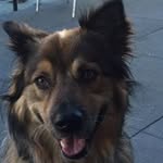 Jack Connelly - @microd52 - Instagram