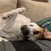 Jack Connelly - @cookies_2387 - TikTok