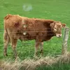 Jack - @jackconnelly1 - TikTok