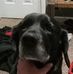 Jack Connours - Facebook
