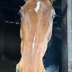 Jack Constable - @constable826 - Instagram