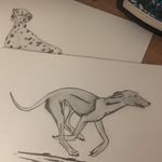 Jack Constable - @petsketchcollection - Instagram