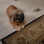 Jack Constantino - @jack.constantino.522 - Instagram