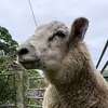 jackcoogan3 - @jackcoogan3 - TikTok