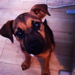 jack coomber - @coomber4 - Instagram