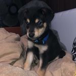 Jack Coons - @jackk.coons - Instagram