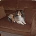 Jack Coons - Facebook