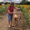Jackie Cordes - @cleanwithmein2021 - TikTok