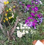 Jacky Cordier - Facebook