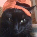 Jack Cormier - @bubbacat30 - Instagram