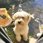 Jack Corninho - @jackcorninho - Instagram