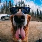 Jack Cornell - @jack_cornell123 - Instagram