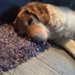 Jack Corner - @littlejackcorner - Instagram