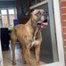 Jack Corns - Facebook