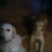 Jack Correll - Facebook