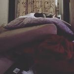 jack - @jack_corson - Instagram