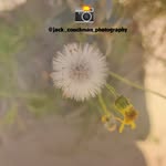 Jack._couchman_photography - @jack._couchman_photography - Instagram