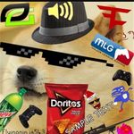 doge enthusiast - @jack.cough - Instagram