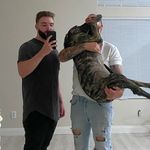 Jack Coulson - @jack_coulson - Instagram