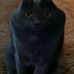 Jack Coursey - Facebook