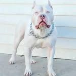 Jack Cowfer - @cowferjack - Instagram