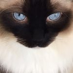 Jack Crandall - @jcranberry88 - Instagram