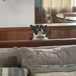 jack crandall - @jk123685 - Instagram