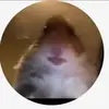 Jack Creamer53 - @jackcreamer53 - TikTok