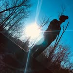 Jack Creamer - @the_jack_creamer - Instagram