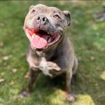 Jack Creedon - @6_creedon_ - Instagram