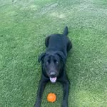 Jackcreel - @notjack4011 - Instagram