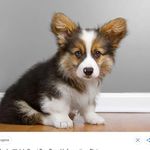 Jack Crenshaw - @crenshaw_jack - Instagram