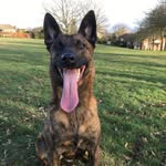 Jack Crompton - @crompton329 - Instagram
