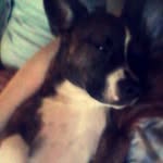 Jack Crompton - @jumpingjack1 - Instagram