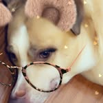 Jack Culpepper - @jackc2345 - Instagram